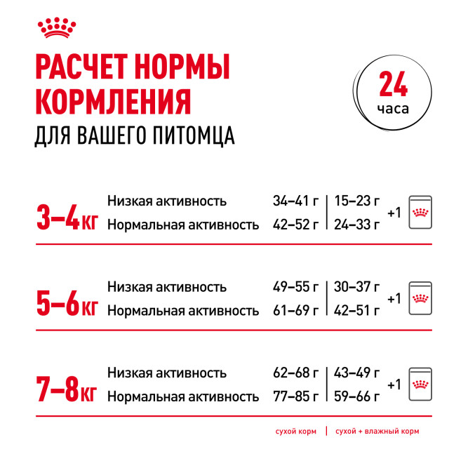 Royal Canin British Shorthair Adult влажный корм для взрослых британских короткошерстных кошек в соусе, в паучах - 85 г х 28 шт