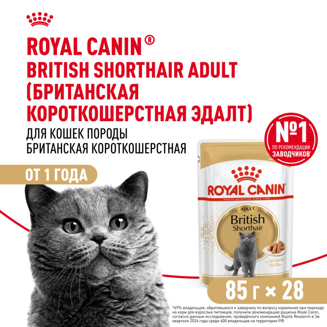 Royal Canin British Shorthair Adult влажный корм для взрослых британских короткошерстных кошек в соусе, в паучах - 85 г х 28 шт