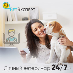 Личный онлайн ветеринар круглосуточно в вашем смартфоне 24/7 (1 год)