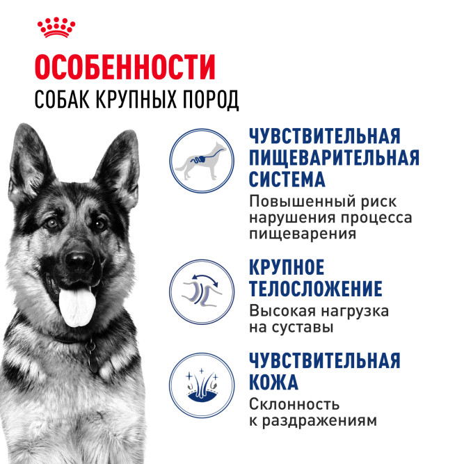 Royal Canin Maxi Adult сухой корм для взрослых собак крупных пород - 3 кг