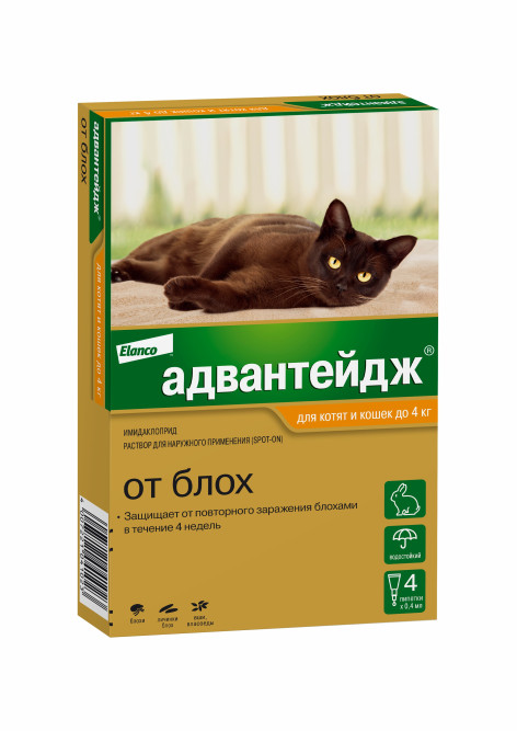 Адвантейдж капли от блох для котят и кошек весом менее 4 кг - 4 пипетки