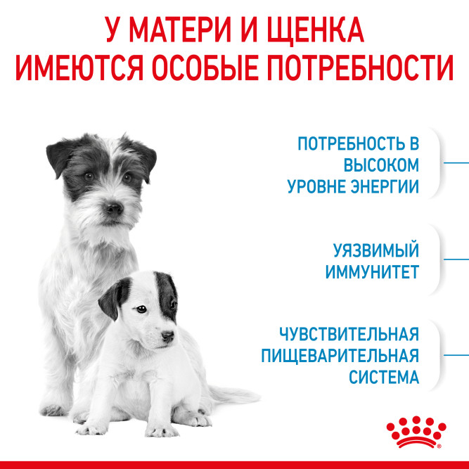 Royal Canin Mini Starter Mother &amp; Babydog сухой корм для щенков, беременных и лактирующих сук мелких пород - 8,5 кг