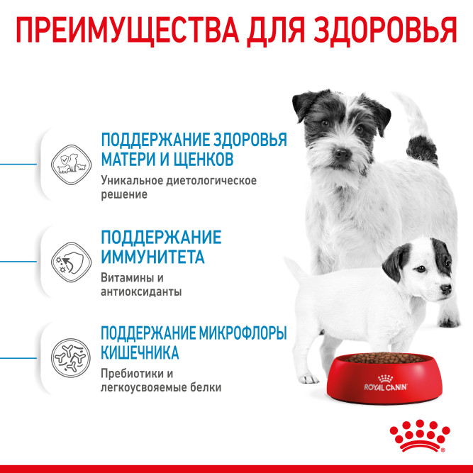 Royal Canin Mini Starter Mother &amp; Babydog сухой корм для щенков, беременных и лактирующих сук мелких пород - 8,5 кг