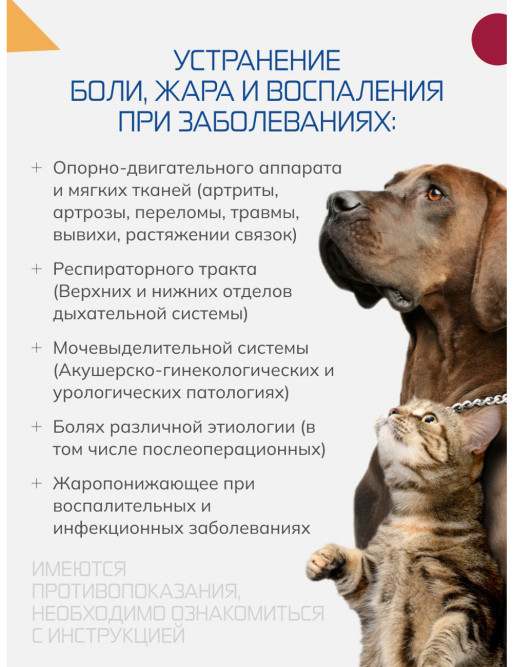 Вемелкам раствор для инъекций для собак и кошек - 50 мл