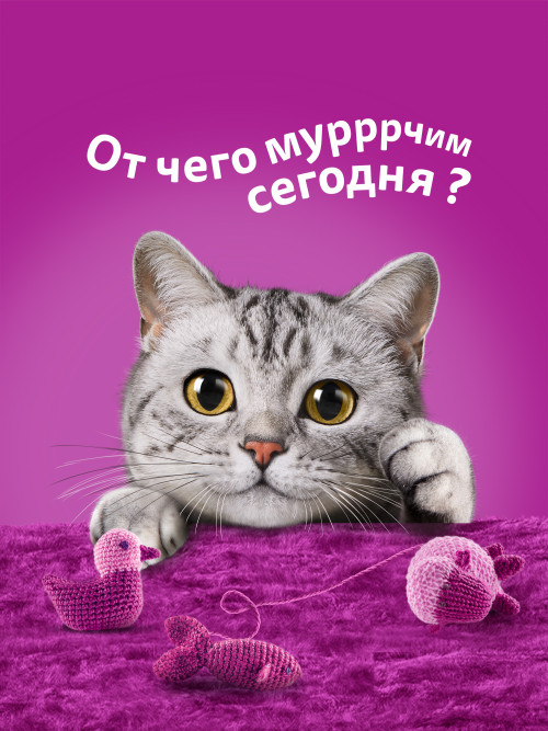 Whiskas влажный корм для взрослых кошек, паштет с курицей и индейкой, в паучах - 75 г х 28 шт