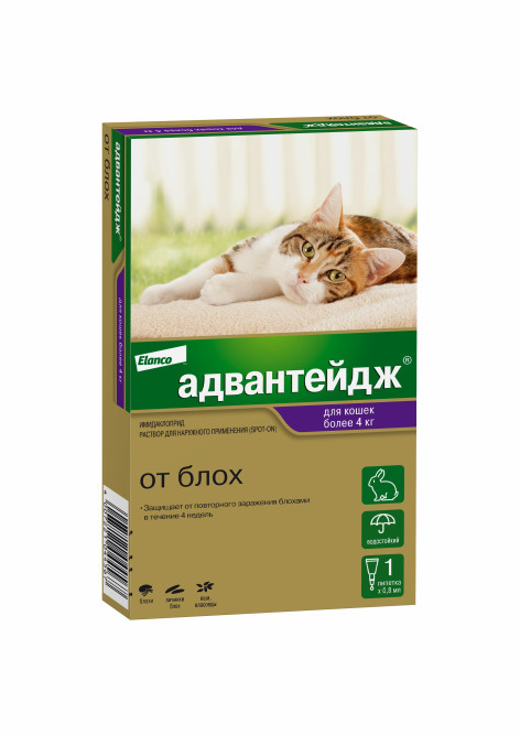 Адвантейдж капли от блох для кошек весом более 4 кг - 1 пипетка