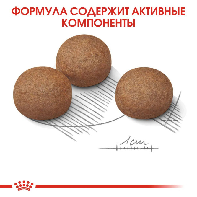 Royal Canin Maxi Digestive Care сухой корм для взрослых собак крупных размеров с чувствительной пищеварительной системой - 3 кг