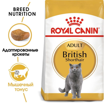 Royal Canin British Shorthair Adult для британских короткошерстных кошек старше 12 месяцев - 2 кг
