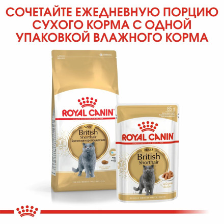 Royal Canin British Shorthair Adult для британских короткошерстных кошек старше 12 месяцев - 2 кг