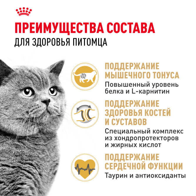 Royal Canin British Shorthair Adult для британских короткошерстных кошек старше 12 месяцев - 2 кг