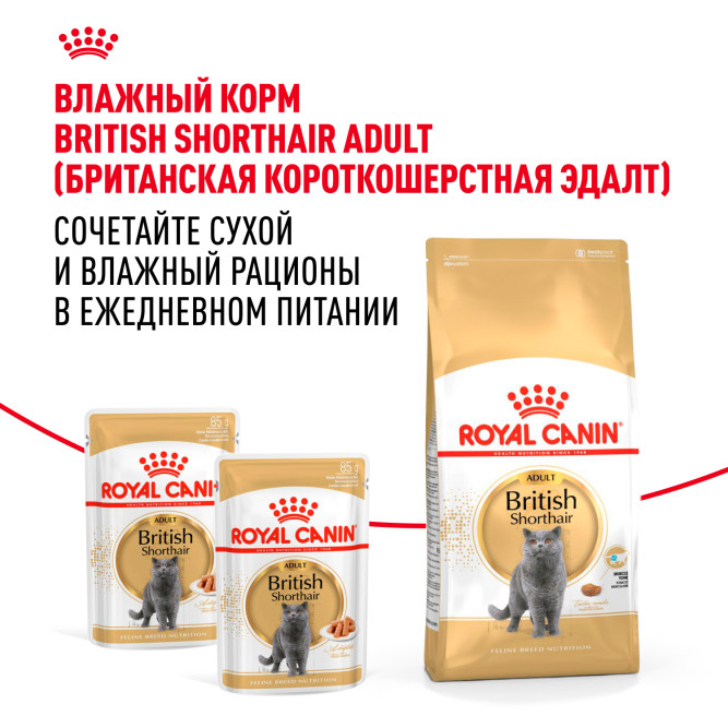 Royal Canin British Shorthair Adult для британских короткошерстных кошек старше 12 месяцев - 2 кг