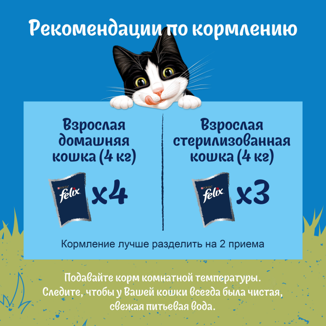 Felix Природа вкуса влажный корм для взрослых кошек, с говядиной, в паучах - 75 г х 26 шт