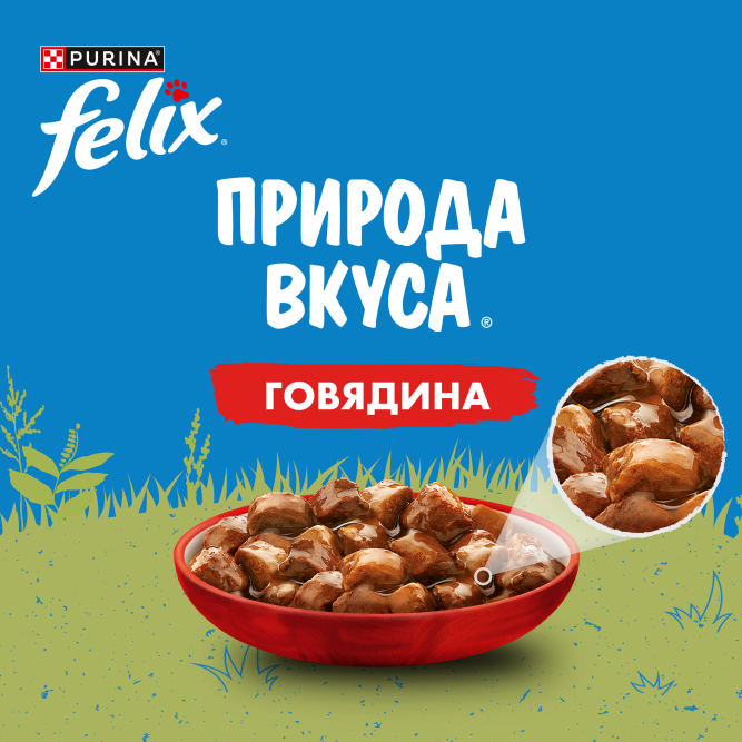 Felix Природа вкуса влажный корм для взрослых кошек, с говядиной, в паучах - 75 г х 26 шт