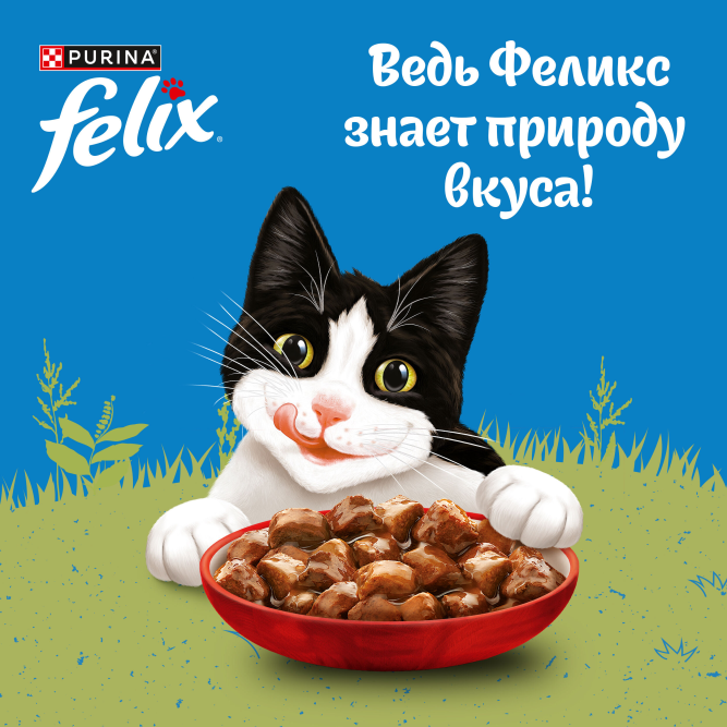 Felix Природа вкуса влажный корм для взрослых кошек, с говядиной, в паучах - 75 г х 26 шт