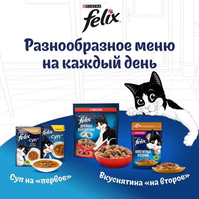Felix Природа вкуса влажный корм для взрослых кошек, с говядиной, в паучах - 75 г х 26 шт