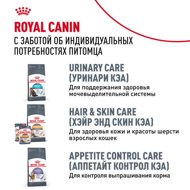 Royal Canin Maine Coon Adult влажный корм для взрослых кошек породы Мэйн Кун в соусе, в паучах - 85 г х 28 шт