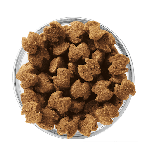 Сухой корм Eukanuba Adult Medium Breed для собак средних пород с курицей - 3 кг