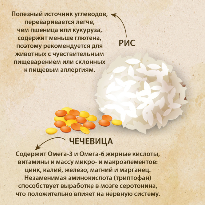 Prime Ever Fresh Meat Adult Dog Medium&amp;Maxi полнорационный сухой корм для взрослых собак средних и крупных пород с индейкой и рисом - 12 кг