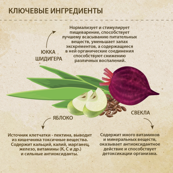 Prime Ever Fresh Meat Adult Dog Medium&amp;Maxi полнорационный сухой корм для взрослых собак средних и крупных пород с индейкой и рисом - 12 кг