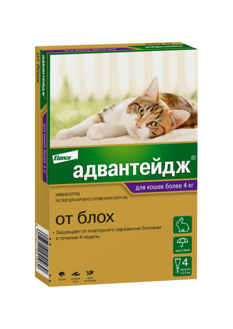 Адвантейдж капли от блох для кошек весом более 4 кг - 4 пипетки