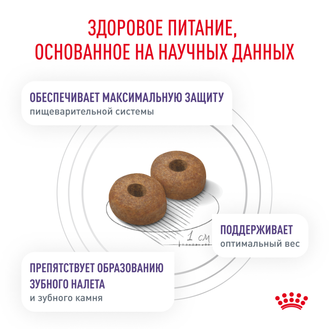Royal Canin Neutered Adult Small Dog сухой корм для взрослых кастрированных собак мелких пород - 3,5 кг