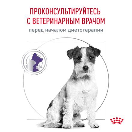 Royal Canin Neutered Adult Small Dog сухой корм для взрослых кастрированных собак мелких пород - 3,5 кг