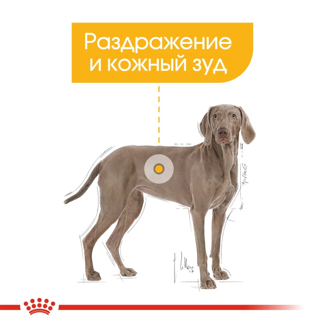 Royal Canin Maxi Dermacomfort корм для собак крупных пород с раздраженной и зудящей кожей - 3 кг
