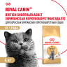 Изображение товара Royal Canin British Shorthair 34 для породы Британская короткошерстная старше 12 мес - 4кг