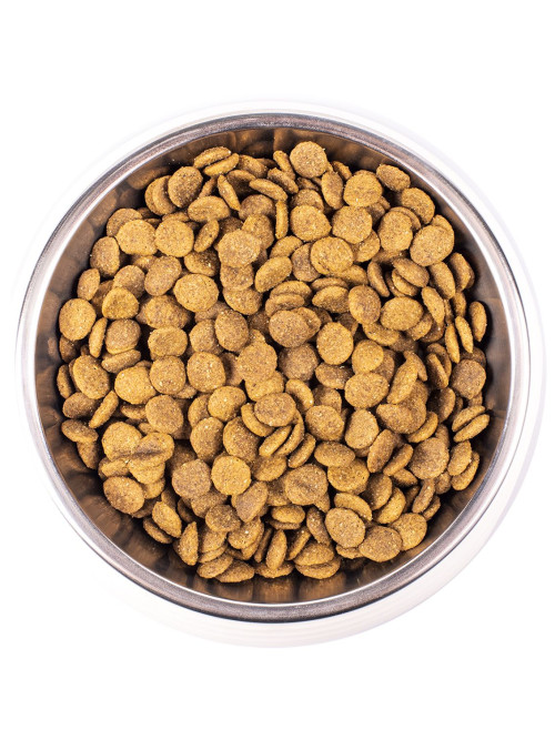 Monge Cat Adult сухой корм для для взрослых кошек с курицей 1,5 кг