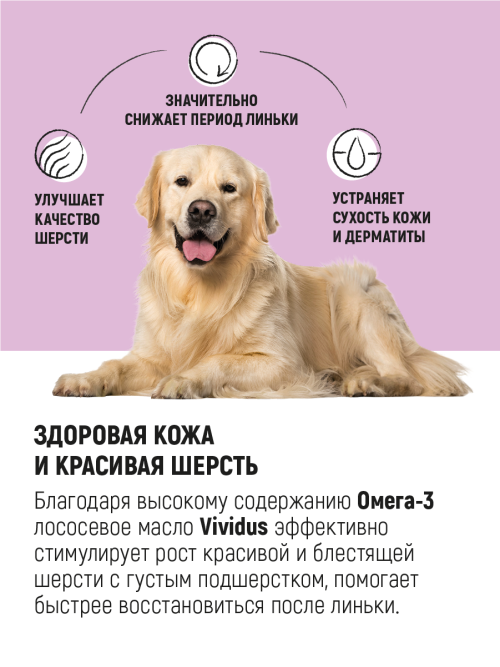 Vividus кормовая добавка для животных масло дикого лосося - 3 л