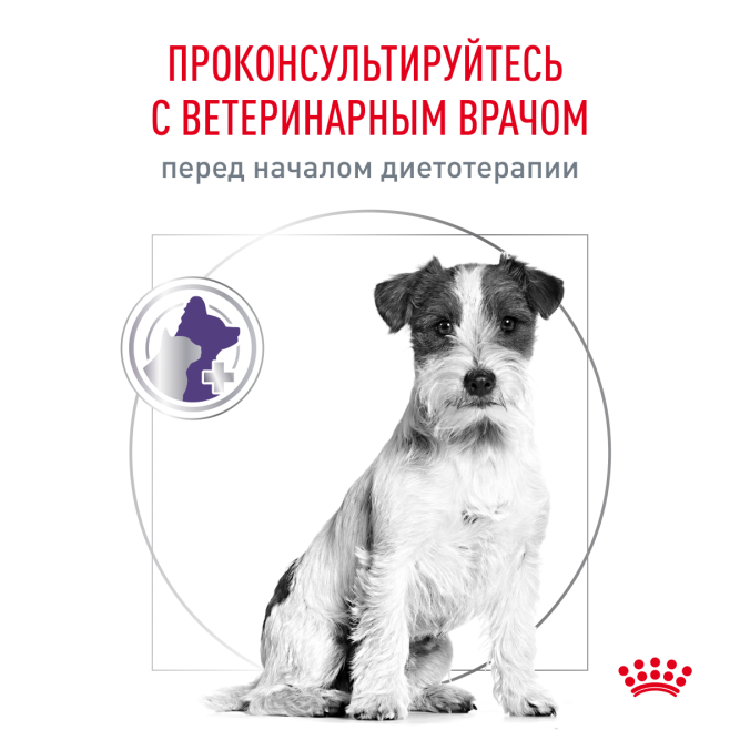 Royal Canin Neutered Adult Small Dog сухой корм для взрослых кастрированных собак мелких пород 800г