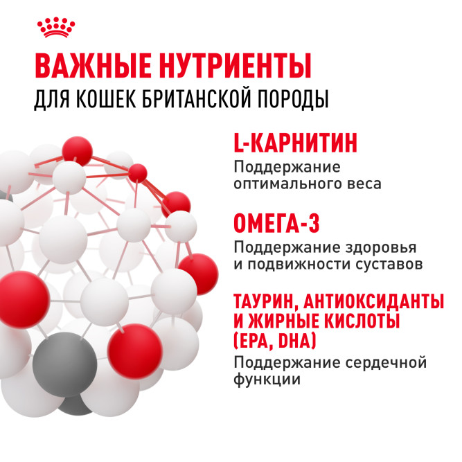 Royal Canin British Shorthair сухой корм для взрослых кошек породы британская короткошерстная - 400 г