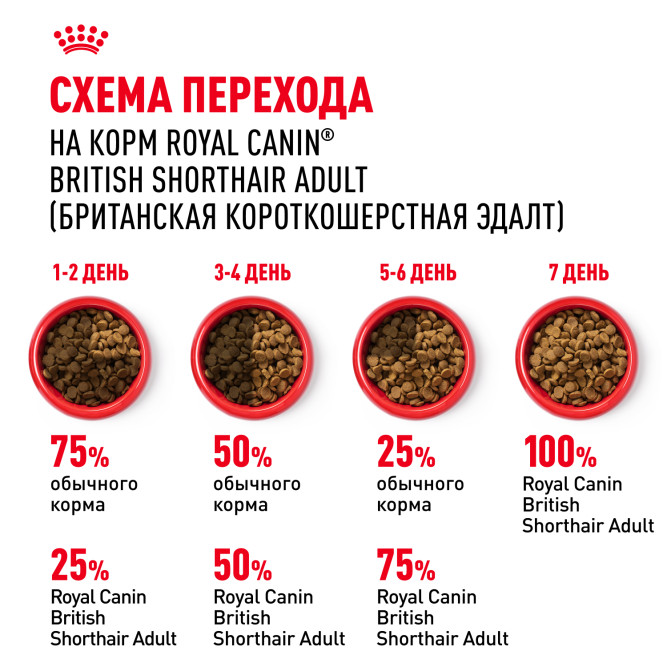 Royal Canin British Shorthair сухой корм для взрослых кошек породы британская короткошерстная - 400 г