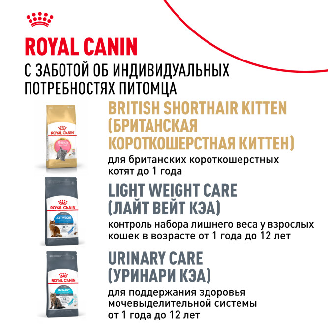 Royal Canin British Shorthair сухой корм для взрослых кошек породы британская короткошерстная - 400 г