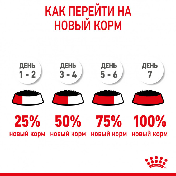 Royal Canin Kitten влажный корм котят до 12 месяцев кусочки в желе, в паучах - 85 г х 28 шт