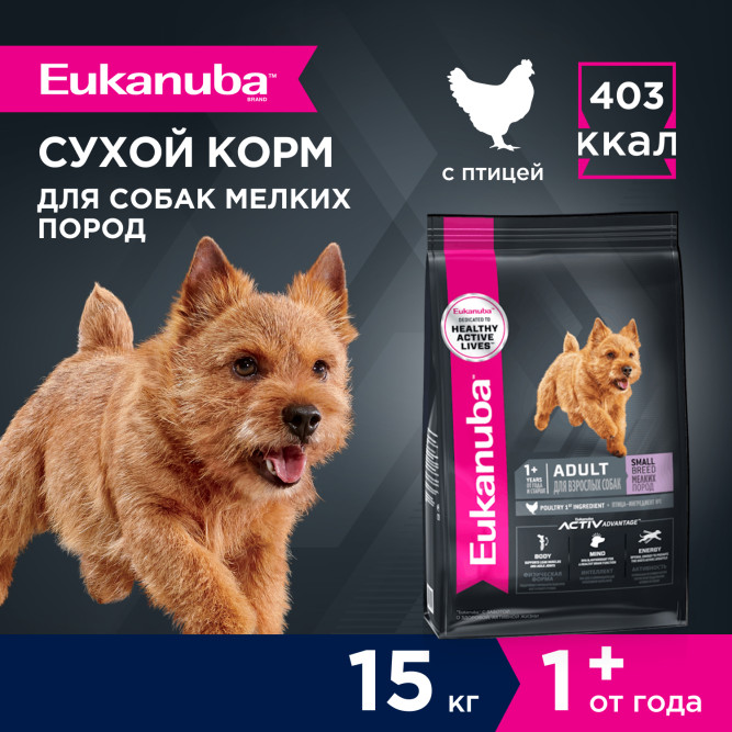 Eukanuba Adult Small Breed 1+ Years сухой корм взрослых собак мелких пород - 15 кг