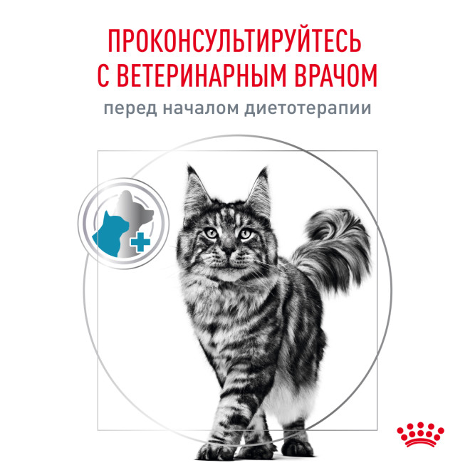 Royal Canin Hypoallergenic сухой диетический корм для взрослых кошек при пищевой аллергии и пищевой непереносимости - 2 кг