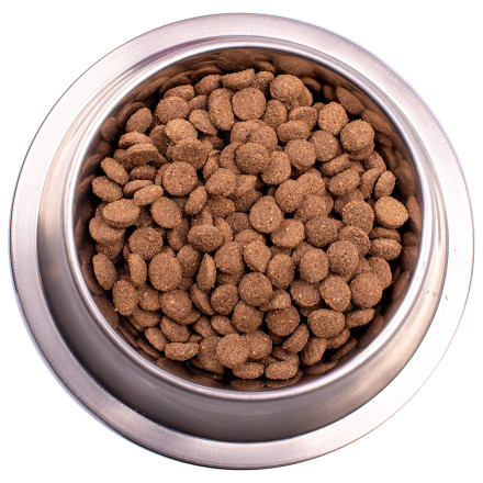 Gemon Dog Medium сухой корм для взрослых собак средних пород с ягненком и рисом 15 кг