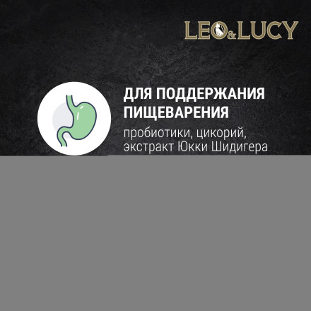 LEO&amp;LUCY cухой холистик корм для взрослых и пожилых стерилизованных кошек с индейкой и ягодами - 400 г