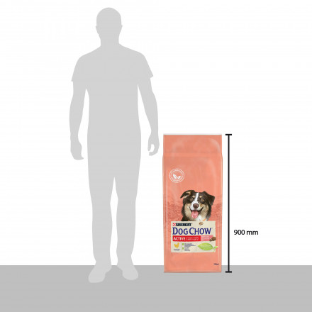 Сухой корм Purina Dog Chow Active для взрослых активных собак с курицей - 14 кг
