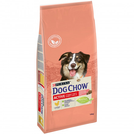 Сухой корм Purina Dog Chow Active для взрослых активных собак с курицей - 14 кг