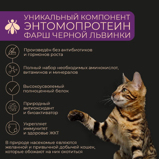 Yumster Sterilized влажный корм для стерилизованных кошек с говядиной и брусникой в соусе, в паучах - 85 г х 12 шт