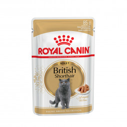 Royal Canin British Shorthair Adult влажный корм в паучах в соусе для британских короткошерстных кошек - 85 г х 12 шт