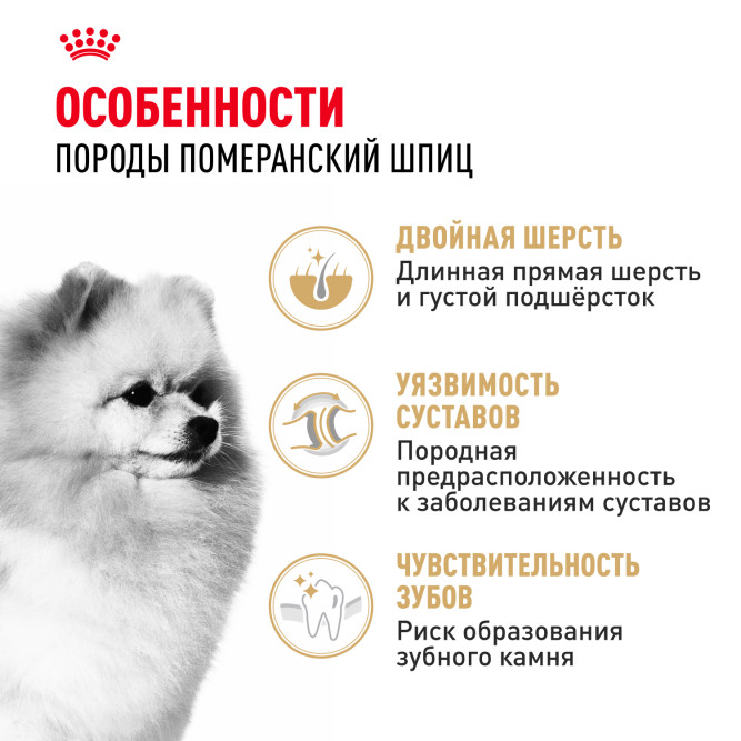 Royal Canin Pomeranian Adult сухой корм для собак породы померанский шпиц в возрасте от 8 месяцев - 500 г