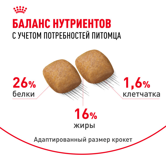Royal Canin Pomeranian Adult сухой корм для собак породы померанский шпиц в возрасте от 8 месяцев - 500 г