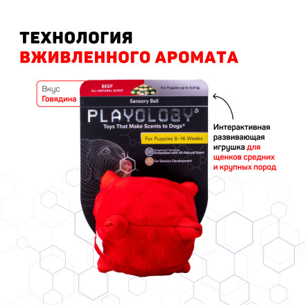Playology PUPPY SENSORY BALL сенсорный плюшевый мяч для щенков с ароматом говядины, 11 см, красный