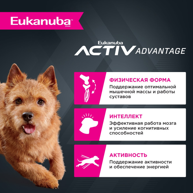 Eukanuba Adult Small Breed 1+ Years сухой корм взрослых собак мелких пород - 800 г