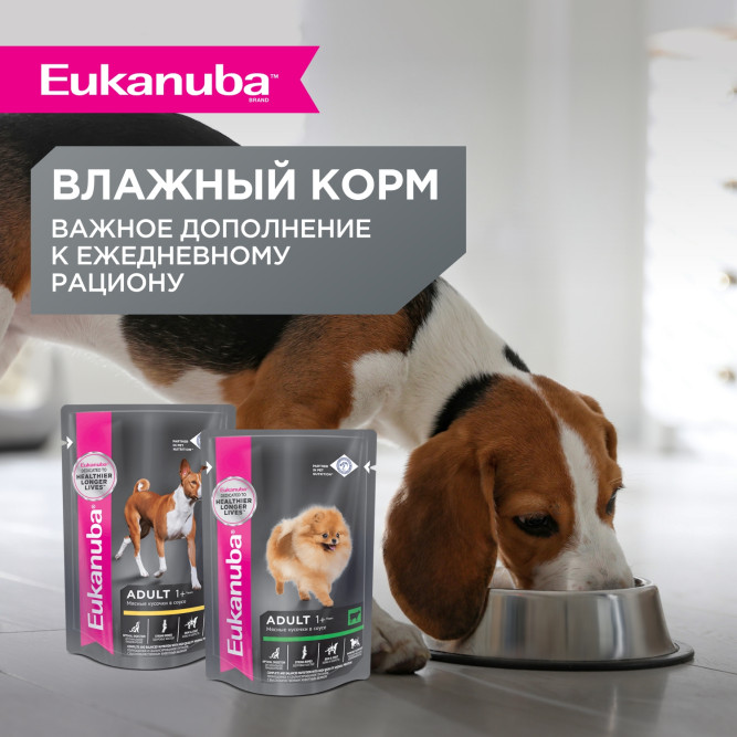 Eukanuba Adult Small Breed 1+ Years сухой корм взрослых собак мелких пород - 800 г