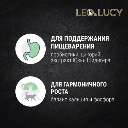 LEO&amp;LUCY cухой холистик корм для котят с индейкой и овощами - 400 г