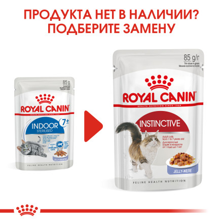 Royal Canin Indoor Sterilised влажный корм для стареющих кошек кусочки в желе - 85 г